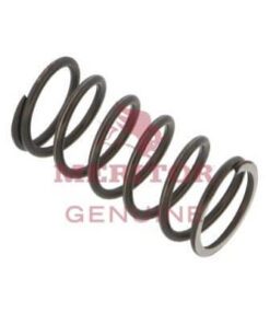 SPRING - MAIN DIFF. LOCK