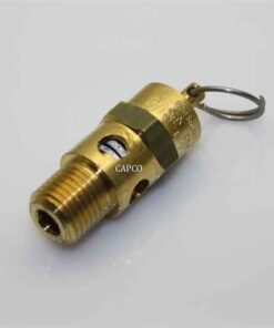 8.2054.1 OEM Kaeser Safety Valve